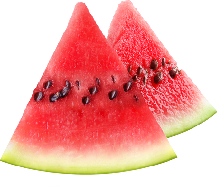 Watermelon Slices Cutout