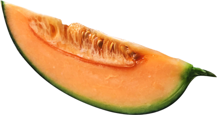 melon slice, Fruit